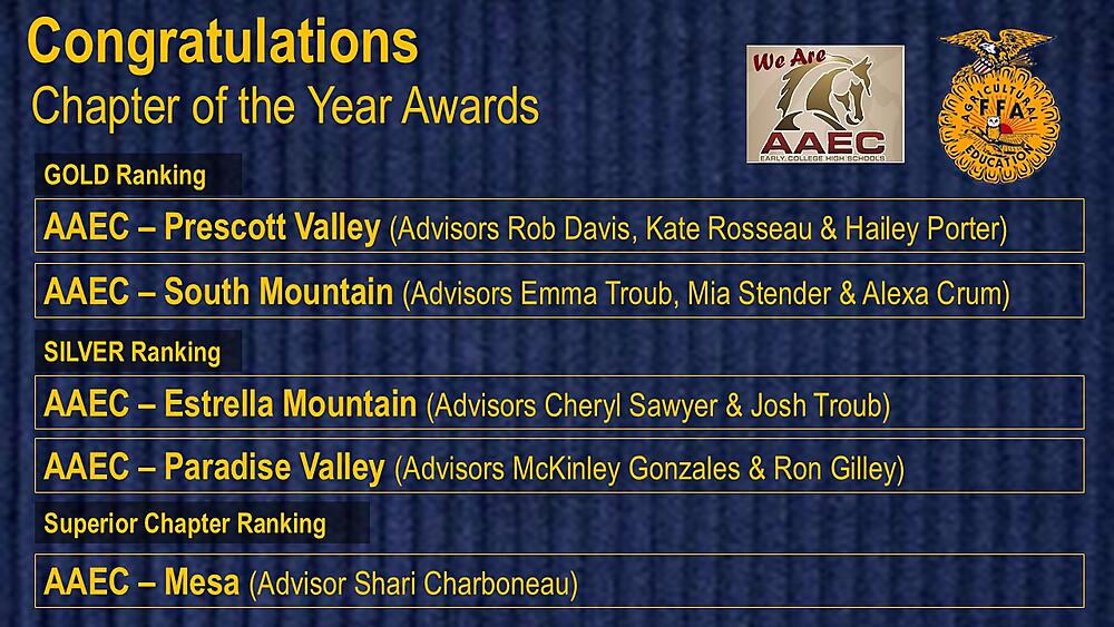 Chapters of the Year Awards | AAEC