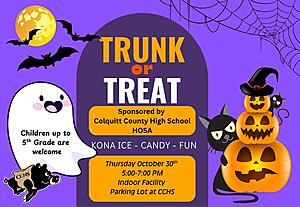 Trunk or Treat at Colquitt County High School

Thursday, October 30th from 5- 7pm

CCHS Indoor Facility Parking Lot