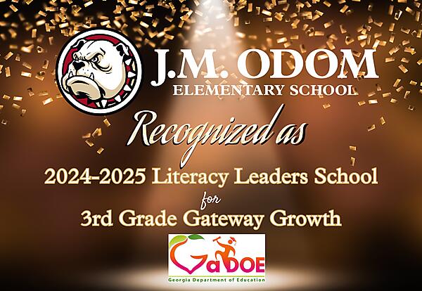 Literacy Leaders Recognition Decorative Flyer