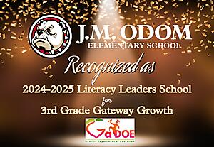 Literacy Leaders Recognition Decorative Flyer