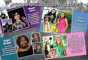 Graduation tribute examples