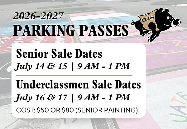 Decorative Graphic - Parking Pass
