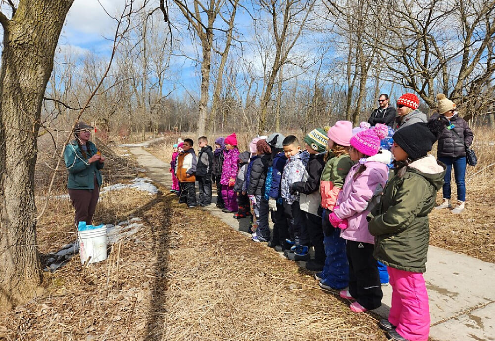 Maple Syrup Season St. Francis Xavier