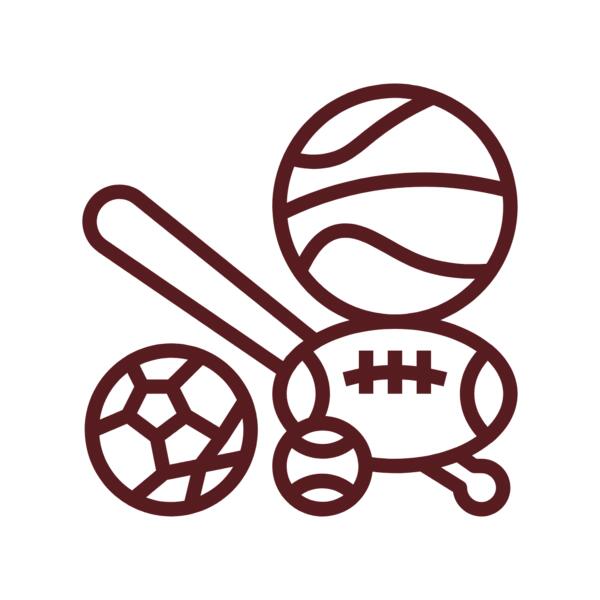 Sports Icon