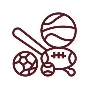 Sports Icon