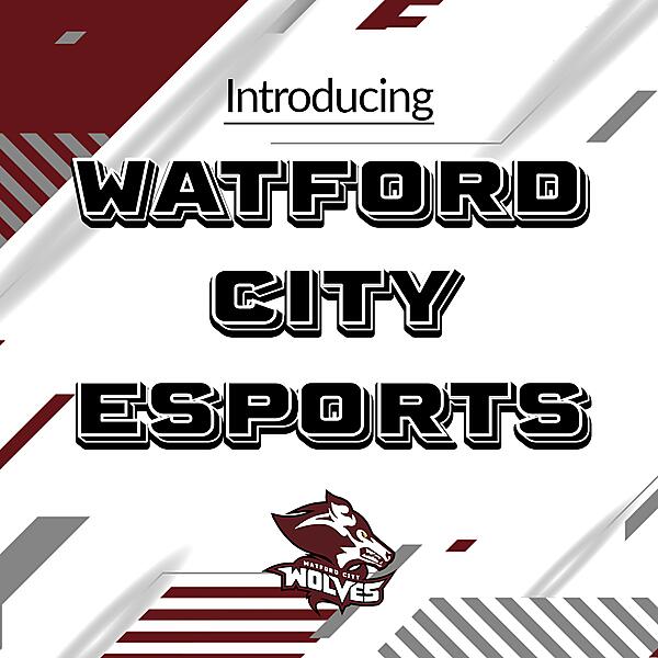 Introducing ESports