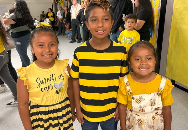 The Hive is Buzzing at Arbolita