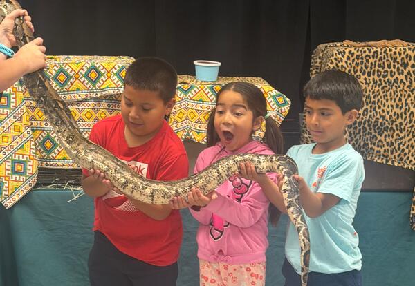 El Cerrito Springs into Learning and Growth
