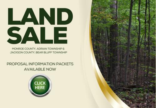 photo of tree covered piece of property, with click here button
