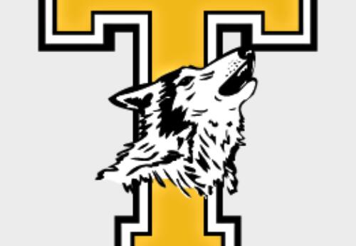 Yellow T with wolf head across it.