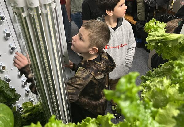 student reaches into hydroponic tower to harvest fresh lettuce