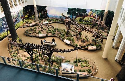 Elevated view of dino exhibit