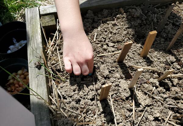 First Grade Farmer Follow-up