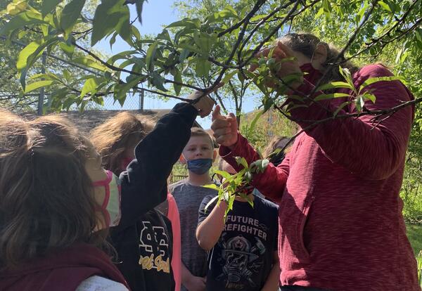 Grade 2 Gardeners