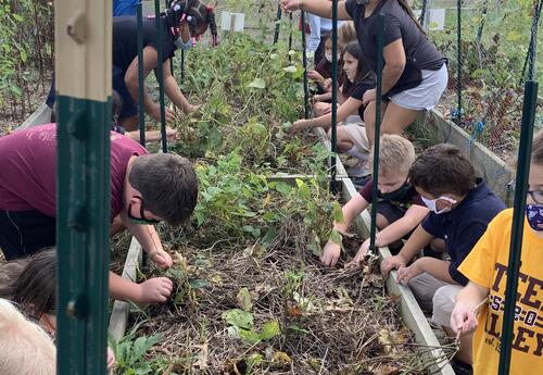 Second Grade Pond Trip - Featured image