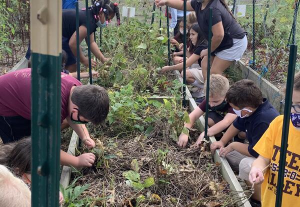 Second Grade Pond Trip - Featured image