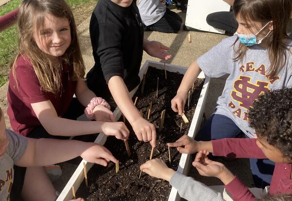 Kindergarteners planting radishes - Photo #1