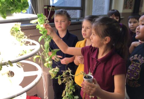 Students Preparing for the New Crop news featured image