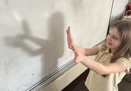 The Science of Light and Shadows Featured image