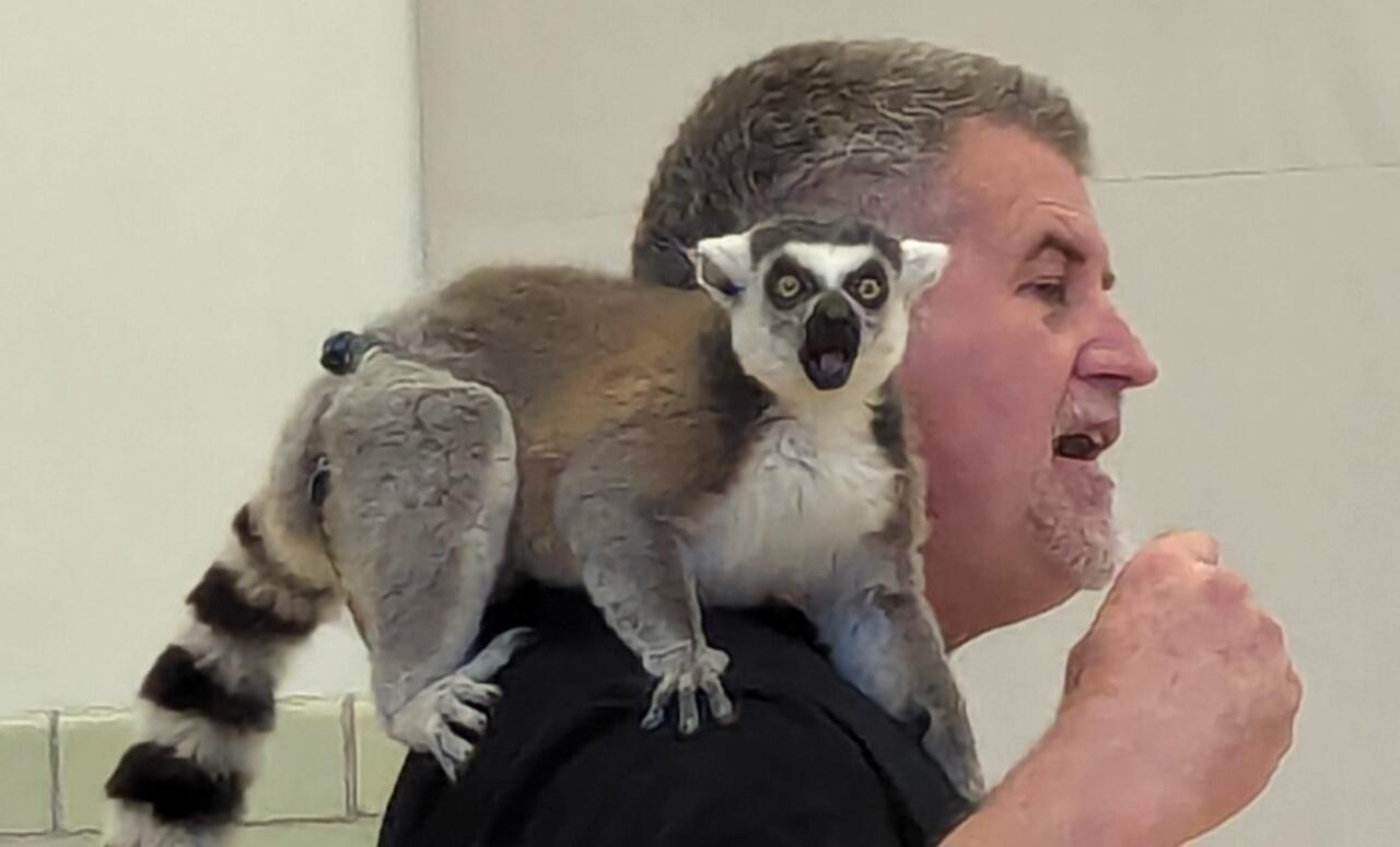 Wild World of Animals | Park Elementary School
