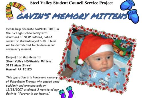 Gavin's Memory Mittens Informational Poster
