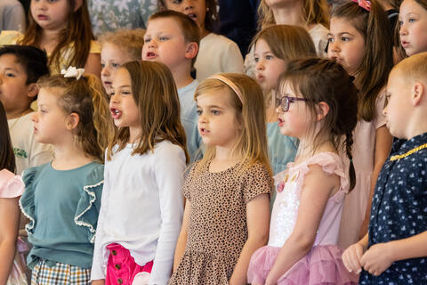 Image 16 of 75