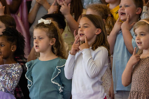 Image 24 of 75
