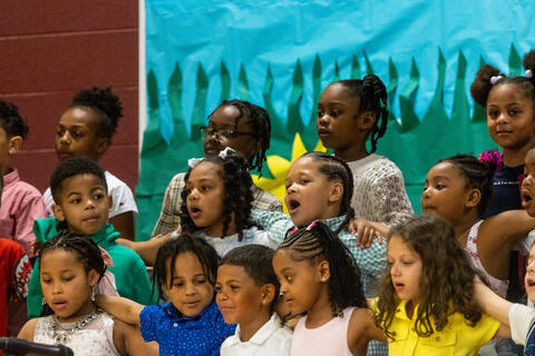 Image 13 of 62