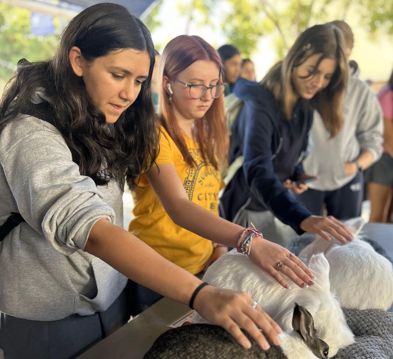 St. Francis of Assisi Day News & Events