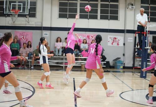 Dig Pink Volleyball Game