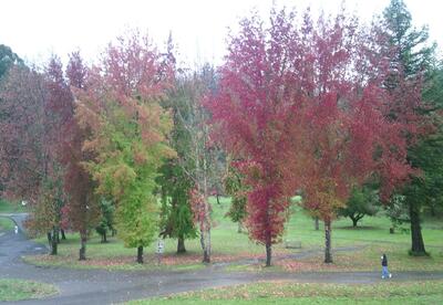 Grean Mountain Retreat Grounds