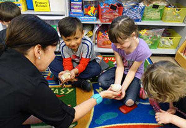 Baby Chicks Hatch in Fernway's Kindergarten Classes