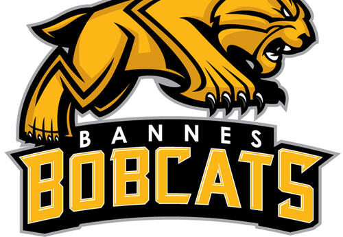 may-22-2020-bannes-logo