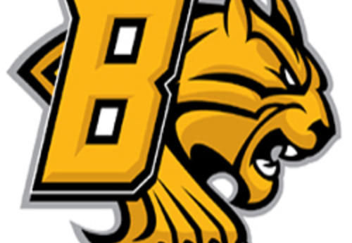 bobcat logo