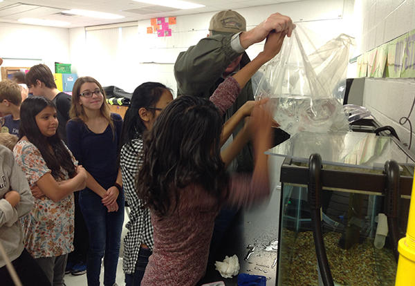 Trout in the Classroom