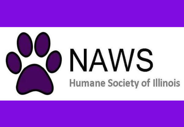 Student Council Spirit Week Supports NAWS