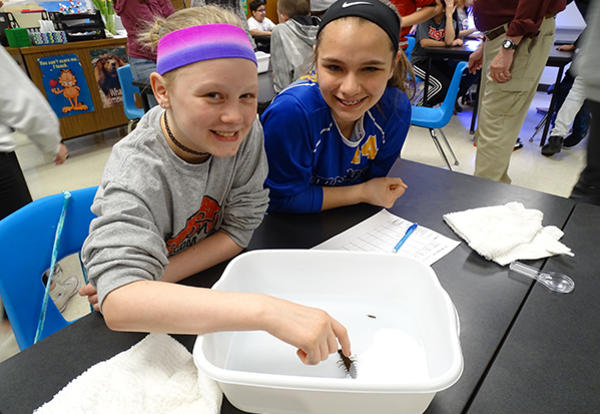 Bissell Team Investigates Insects Found in Stream Ecosystems