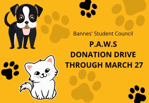 20230308-bannespawscollection-news-image