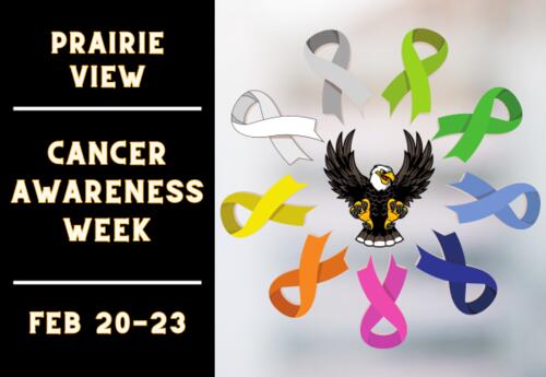 PV cancer awareness week image