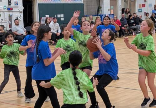 Students playing a basketball game