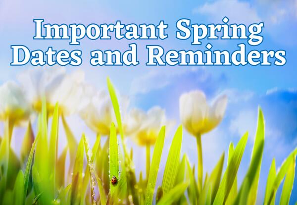 Important Spring Dates and Reminders with blooming tulips and lady bug on flower stem
