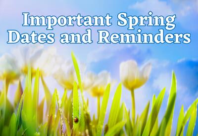 Important Spring Dates and Reminders with blooming tulips and lady bug on flower stem