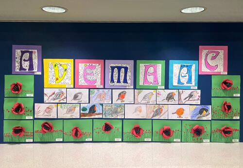 A wall display featuring children's artwork, including large decorative letters and rows of drawings of robins and poppies on green backgrounds.