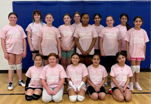 Girls volleyball team poses for team picture in gym in match pink team shirts