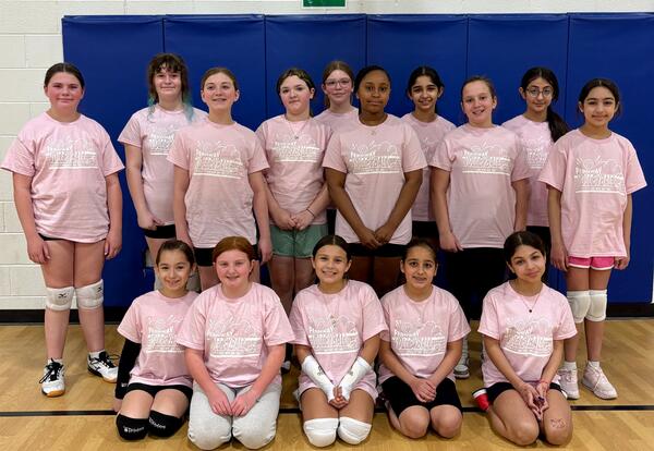 Groups of students pose in rows in school gym wearing pink shirts