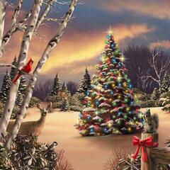 Month at a Glance- December