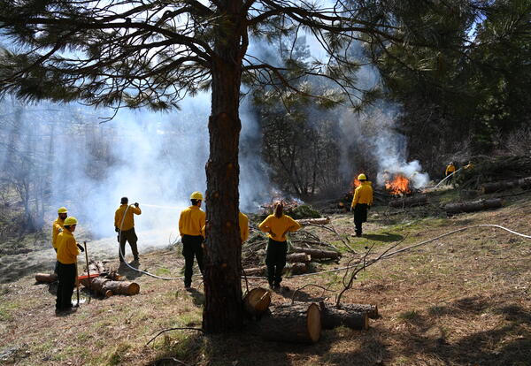 Feather River College Receives Final State Approval for New Ecosystem Restoration & Applied Fire Management Bachelor’s Degree