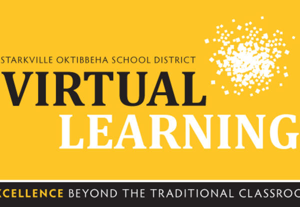 Update #17 from Supt. Eddie Peasant: Virtual Learning Guidelines for Spring 2021 Semester