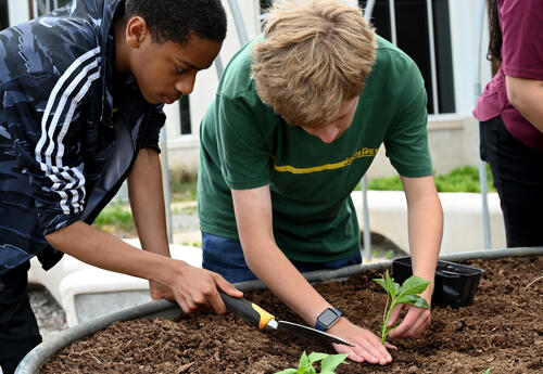 Students working in school garden