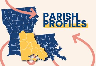 louisiana state map with parishes